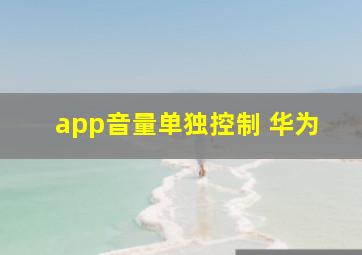 app音量单独控制 华为